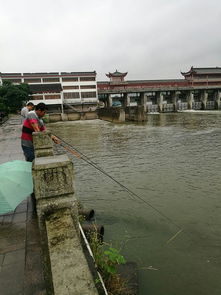 为何不能再现独钓义乌美景